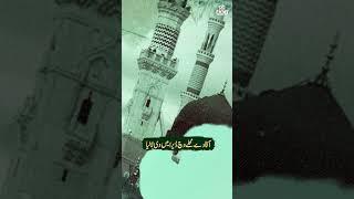 Ali Kashif Sultani | Aaqa De Muhalley Vich Dera | Best Kalam 2025 | Official Track | Aaj Productions