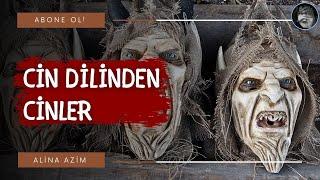 Cin Dilinden Cinler