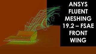 Fluent Meshing 19.2 - FSAE Front Wing