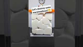 Full Bag of Marshmallows vs. Vacuum Chamber!🫣 #shorts #science
