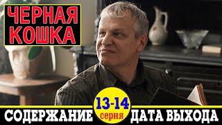 Сериал Черная кошка 13 и 14 серия: дата выхода и содержание