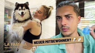 Zuwachs in der Villa!  Ein neuer Mitbewohner zieht ein?!  | La Familia – House of Reality #84