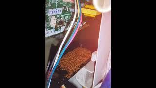 A colony of red imported fire ants in the air-conditioner#justmeneena