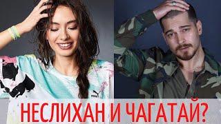 Чагатай Улусой и Неслихан Атагюль в новом сериале "Зимородок"?