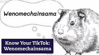 What Is "Wenomechainsama"?