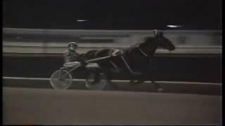 1983 Roosevelt Raceway - Levy Series - My Bill Forwood