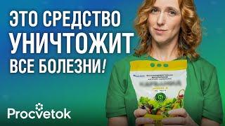 ОДНА ОБРАБОТКА ОСЕНЬЮ СПАСЕТ ОТ БОЛЕЗНЕЙ И ВРЕДИТЕЛЕЙ САДА! Главные работы осенью в плодовом саду