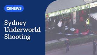 Western Sydney shooting injures three in suspected underworld incident | ABC NEWS