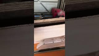 A new $100 sheet of Marine ply separated on the table saw