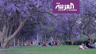 العربية معرفة | أبها.. عروس الجنوب وجنة المصائف العربية