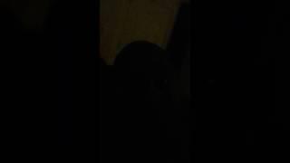 Periscope Videos 2(21)