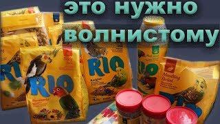 ВОЛНИСТЫЙ ПОПУГАЙ -  что КУПИТЬ, если только завели птицу ВОЛНИСТЫЕ ПОПУГАЙЧИКИ ОЖЕРЕЛОВЫЕ КОРЕЛЛЫ