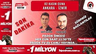 02 Kasım 2024 Son Dakika Ankara - İzmir At Yarışı Tahminleri // Yener Çelik - Naim İşgören