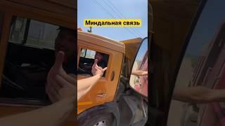 Коллегия #kamaz #shors #kamazzist #KAMAZZIST