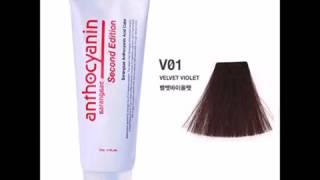 Anthocyanin Hair Manicure Color Second Edition 230g  8 1 OZ V01 VELVET VIOLET