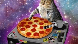 DJ Pizza Cat
