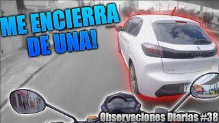 #38 Observaciones Diarias | Mega Operativo! - Locos de camionetas | Salta Argentina