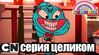 Гамбола | Предатель + Совет (серия целиком) | Cartoon Network