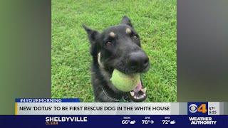 Major to become first rescue dog in White House