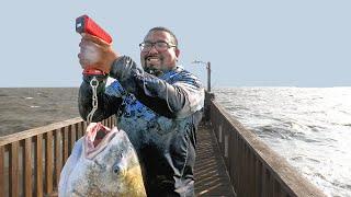 Record Breaking Catches! Pier Fishing Madness - Goose Island