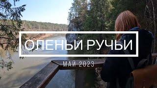 ОЛЕНЬИ РУЧЬИ май 2023