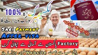 Free Luxembourg 5 best agencies /luxemburg work visa apply step by step from Pakistan 