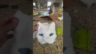 Make a calico #cat mask with me! #therian #mask #art