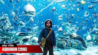 SEMUA HEWAN LAUT TUNDUK PADA BOCAH INI | ALUR CERITA FILM AQUAMAN (2018)