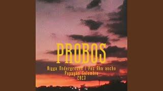 Probos