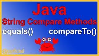 Java String Comparison Methods - equals equalsIgnoreCase compareTo - Java Programming - Appficial