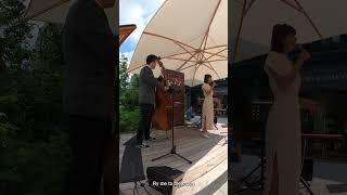 Trio Merlot mit Clara - Fly Me To The Moon LIVE im Dorotheenquartier Stuttgart