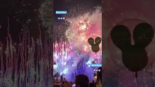 #wow #omg #epic #awesome #best #fireworks #360 #show #life #lifestyle  #amazing #disney #shorts