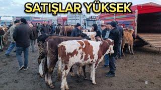 KIRIKKALE HAYVAN PAZARI 24 ARALIK/ A DAY LİFE OF LİVESTOCK TRADER TURKEY