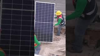 1000 Watt Monocrystalline  Solar Panel #solarpower #solarenergy #solarpanel #renewableenergy