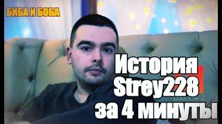 История и биография стрея-STRAY228