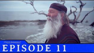 The Rapture and the Two Witnesses of Revelation |The Chronological Gospels
