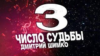 ЧИСЛО СУДЬБЫ "3" /  ДМИТРИЙ ШИМКО