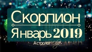 СКОРПИОН  Январь 2019 / Затмение в 3 и 10 доме / Астролог Olga