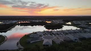 Sunset Time-lapse Valencia Trails - Naples, FL March 30th 2024   4K