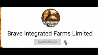 Brave Integrated Farms Limited