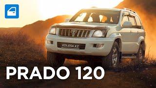 Toyota LC PRADO 120  Как не попасть на БОЛЬШИЕ ДЕНЬГИ? / Ставить ли ГБО? Запчасти-шоу. Kolesa.kz