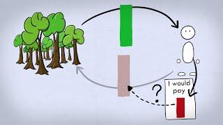 Valuation of Ecosystem Services: Contingent Valuation