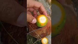 ASMR Split old betel nut #asmrfruit #satisfying #shortvideo