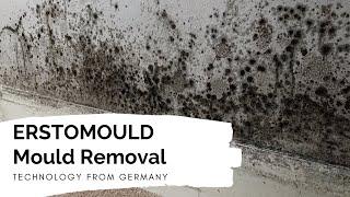 Mould Removal Services by ERST