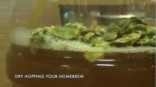 Homebrew How-To: Dry Hopping Your Beer