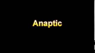 What Is The Definition Of Anaptic Medical Dictionary Free Online