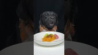 The Secret Ingredient Is Always More Cheese. Labrador. Cute Pet Debut Plan