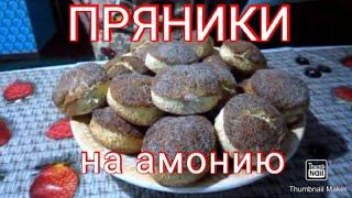 ПРЯНИКИ НА АМОНИЮ просто и быстро* Gingerbreads On Amonia*