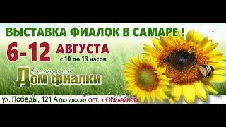 ВЫСТАВКА ФИАЛОК,08.08.20,Самарский дом фиалки,ул.Победы,121 А.