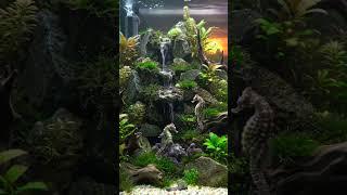 Why Seahorses Are the Weirdest Fish